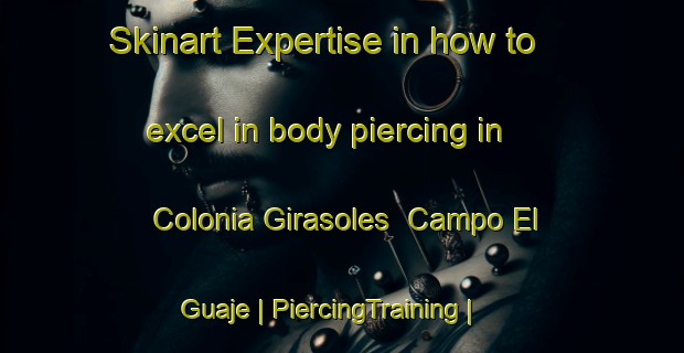 Skinart Expertise in how to excel in body piercing in Colonia Girasoles  Campo El Guaje | PiercingTraining | PiercingClasses | SkinartTraining-Mexico
